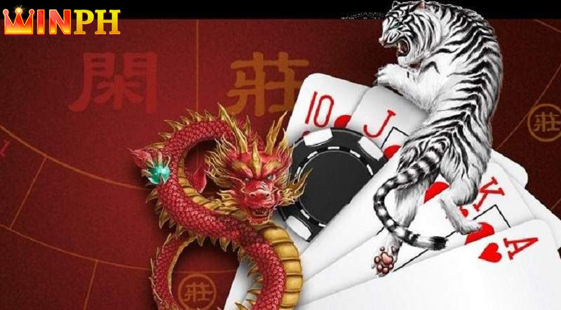 Not understanding the rules of Dragon Tiger makes it easy for you to make wrong decisions.